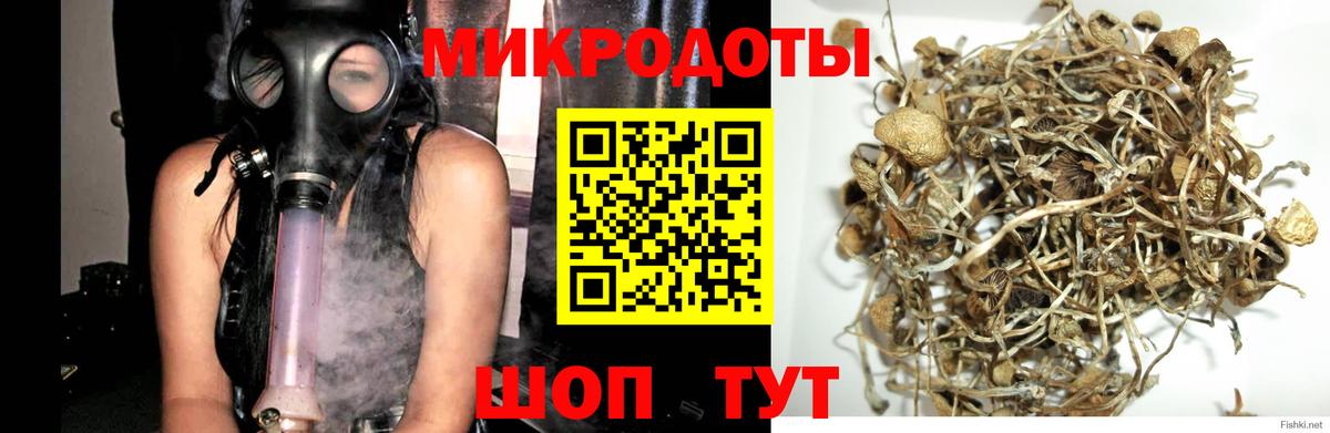 Галлюциногенные грибы MAGIC MUSHROOMS Троицк